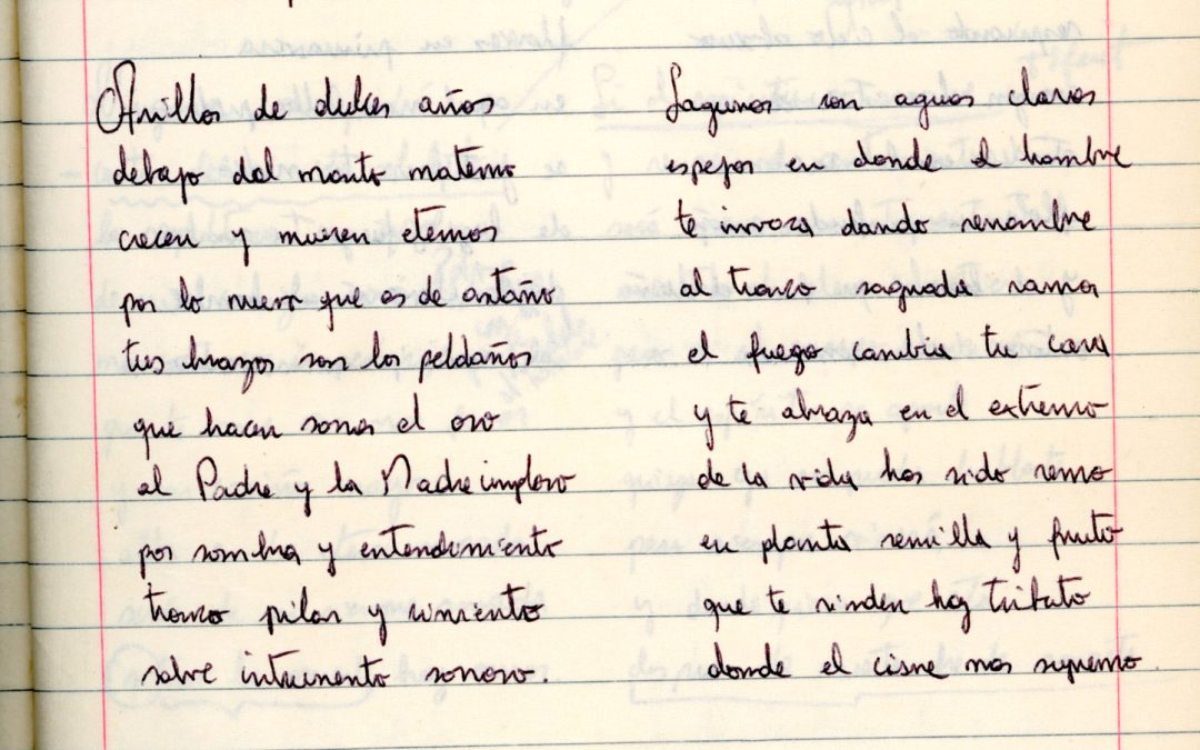 Verso a lo humano – Por literatura / la madera