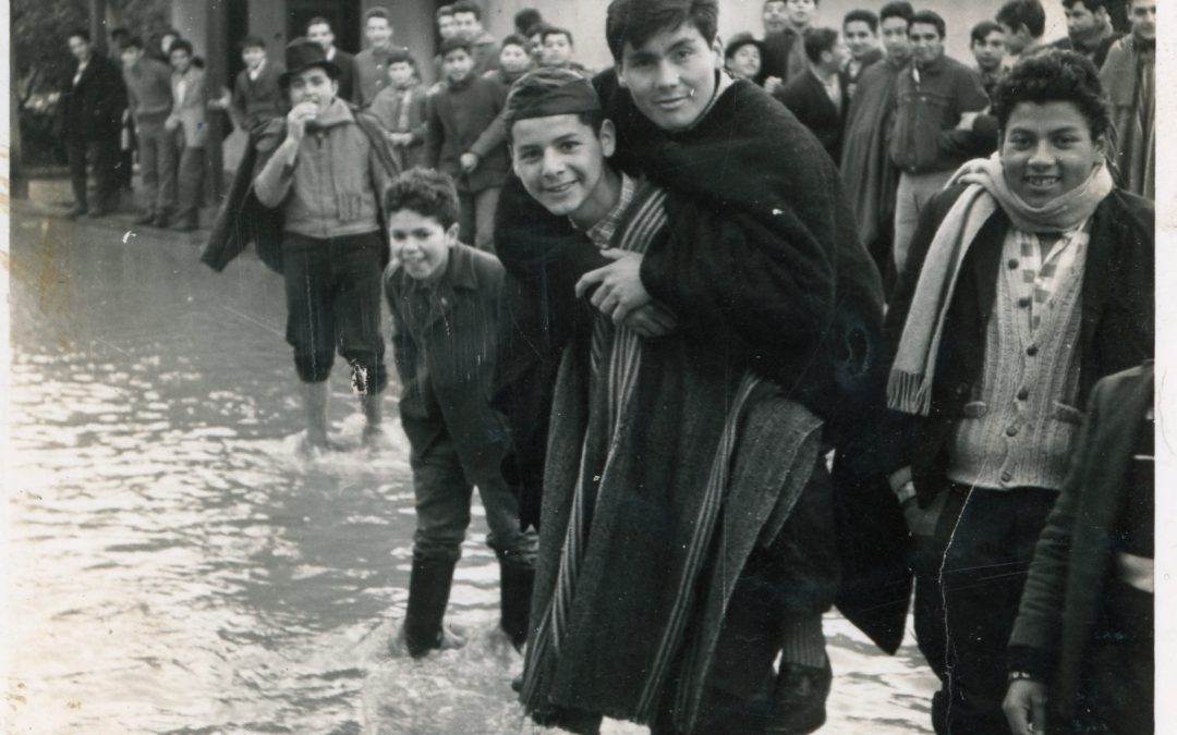 Colección comunitaria09