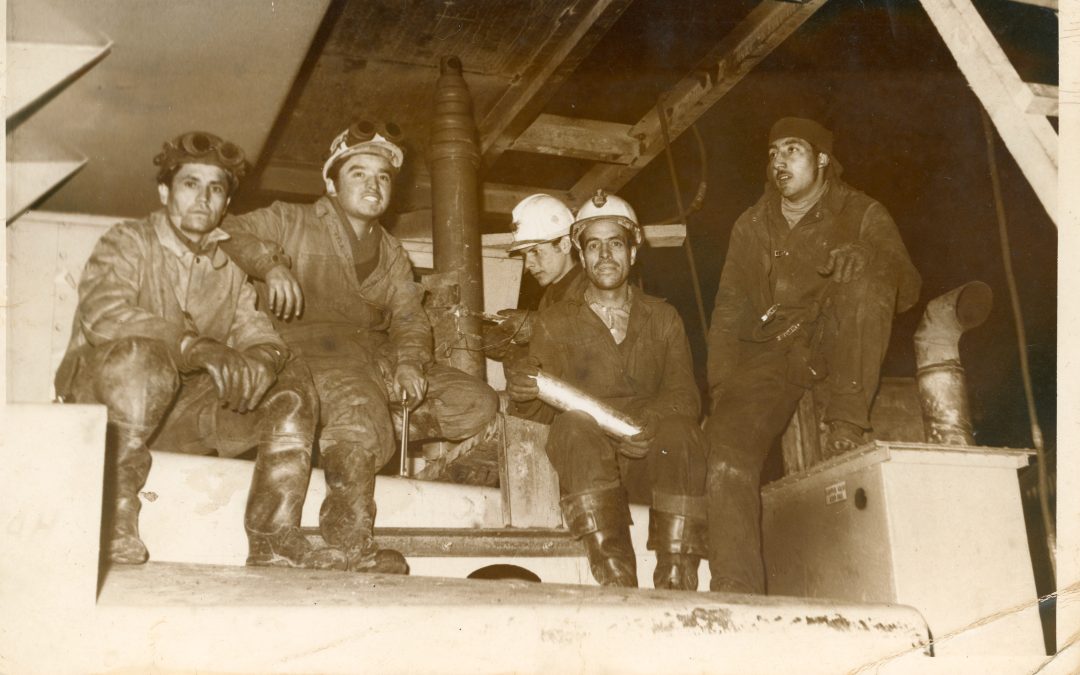 Colección comunitaria13