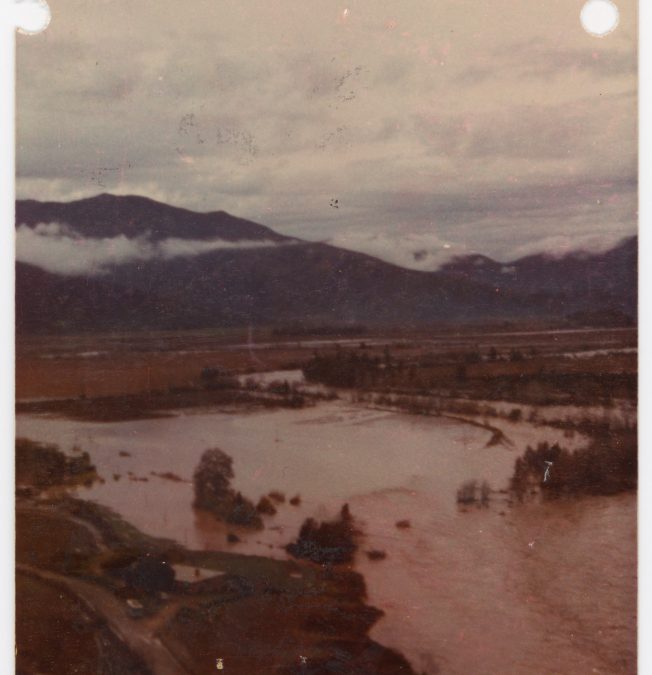 Francesca Ramírez / FR_25